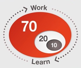 Embedded leren (702010) in het werk door nieuw ontwerp werkproces